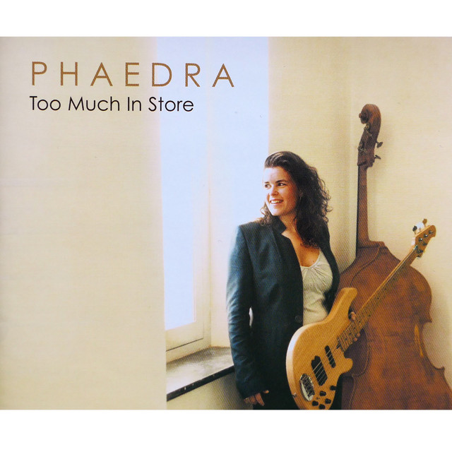Too Much In Store cover art