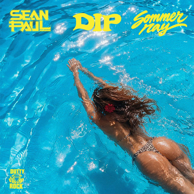 DIP cover art