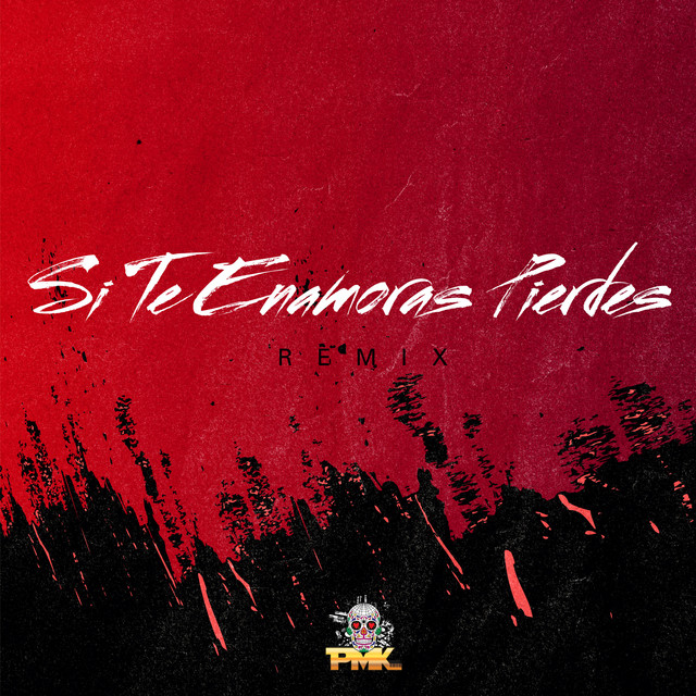 Si Te Enamoras Pierdes - Remix