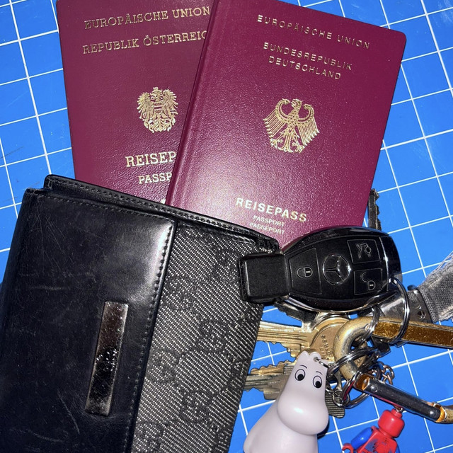 Ausländer cover art