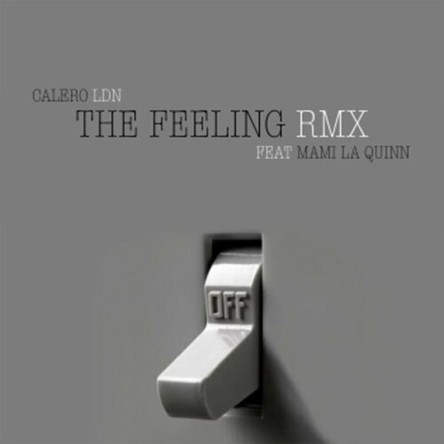 The Feeling - Single by Mami LaQuinn | Spotify