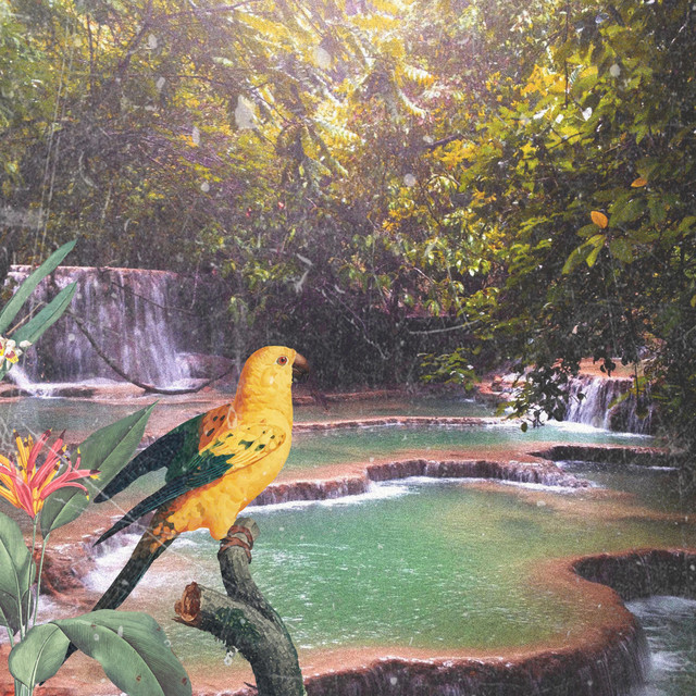 Paradís cover art