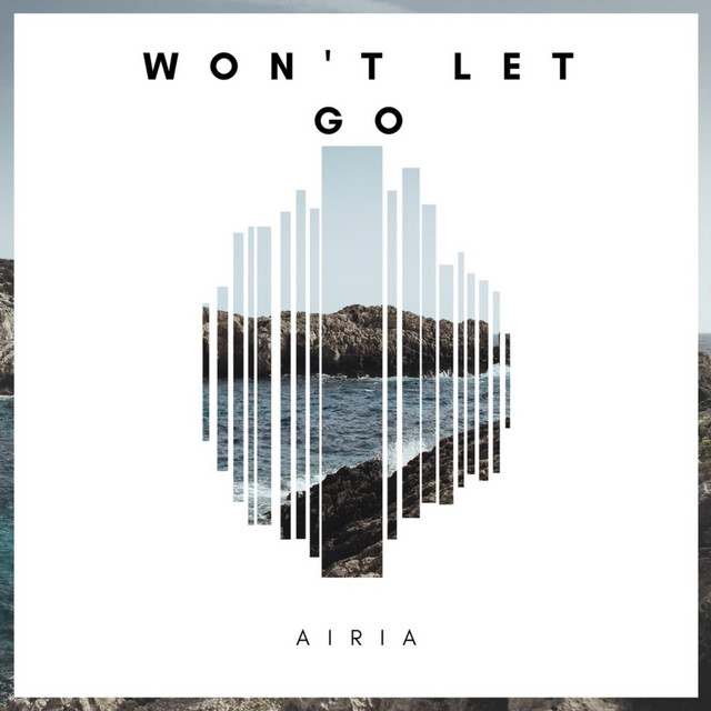 Won't Let Go cover