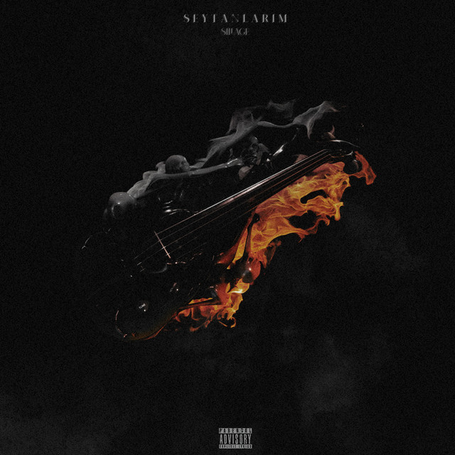 Şeytanlarım cover