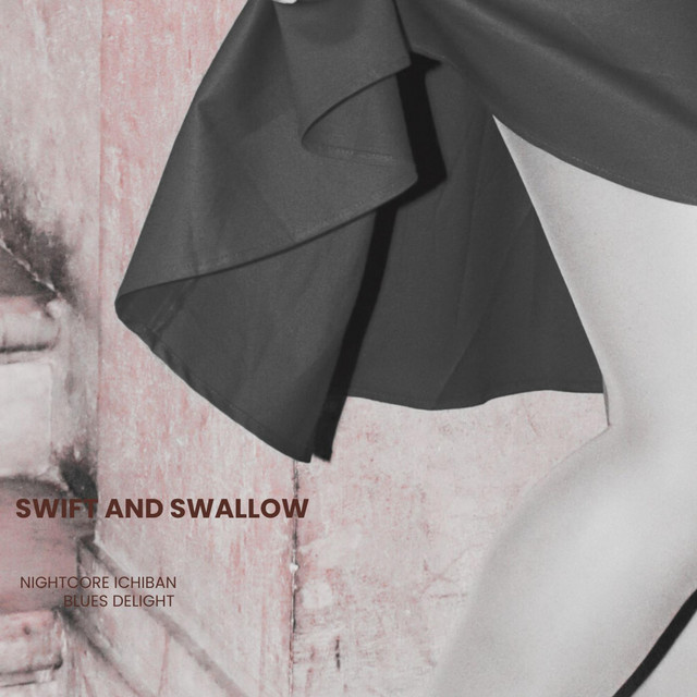 swift and swallow cover art