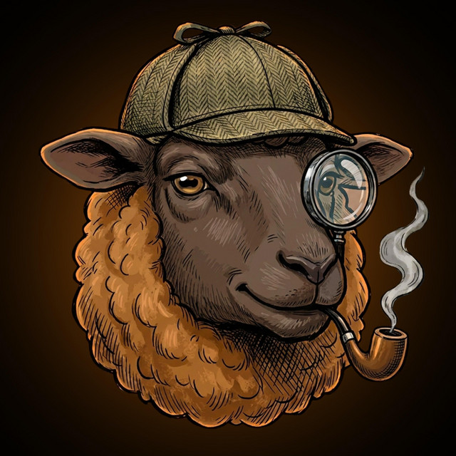 Lily The Sheep Sings A Song album image