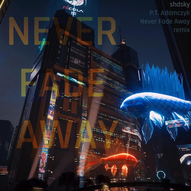 Never Fade Away (P.T. Adamczyk remix) cover art