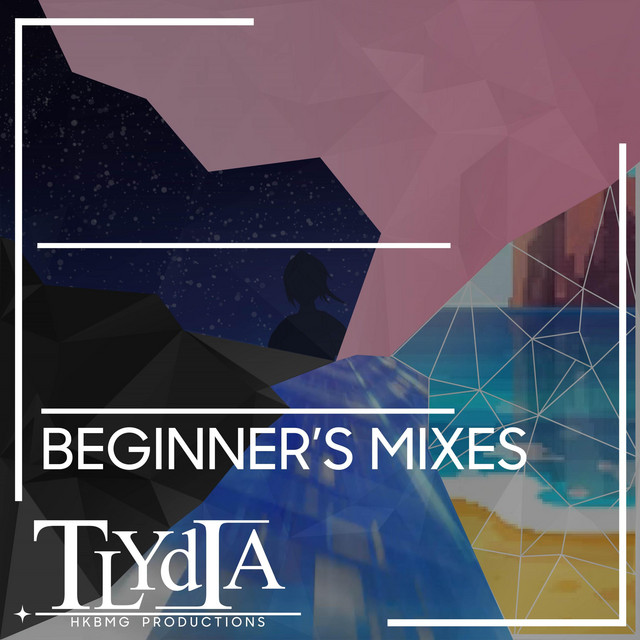BEGINNER'S MIXES cover art