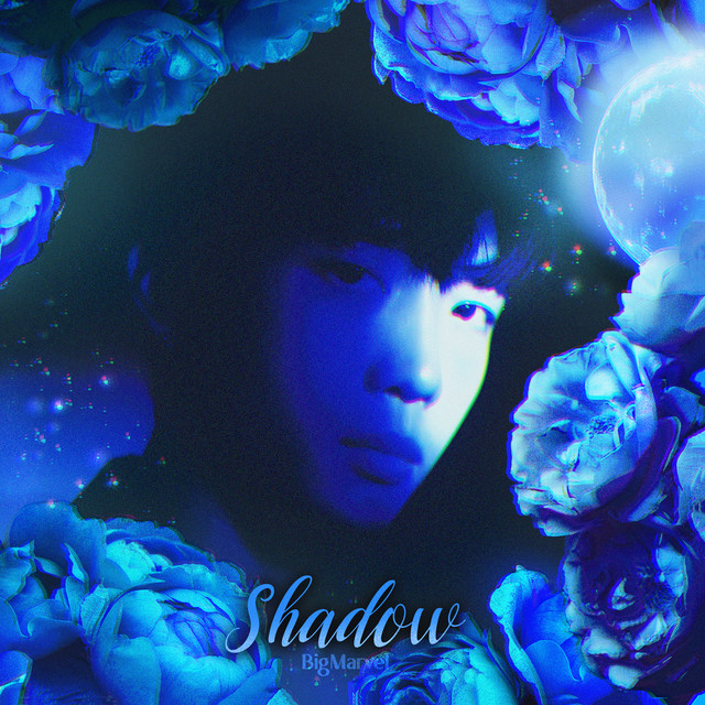 Shadow cover art
