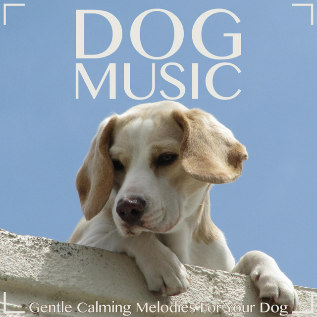 Dog Music: Gentle Calming Melodies for Your Dog cover art
