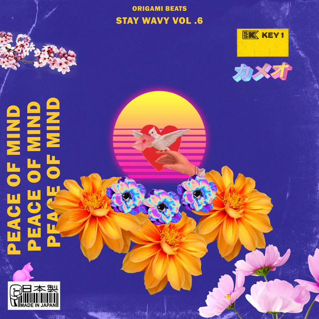 Stay Wavy, Vol. 6 cover art
