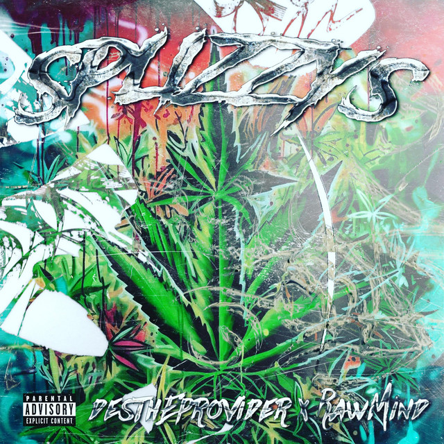 Splizzys cover art