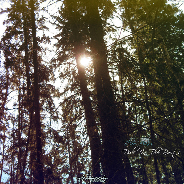 Square Root cover art