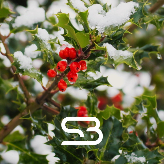 Mistletoe Beats cover art