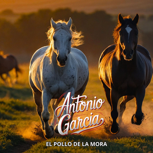 Hay un Luto en la Llanura cover