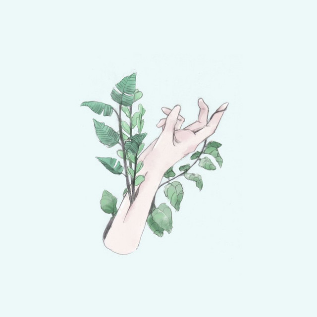 Flourish cover art