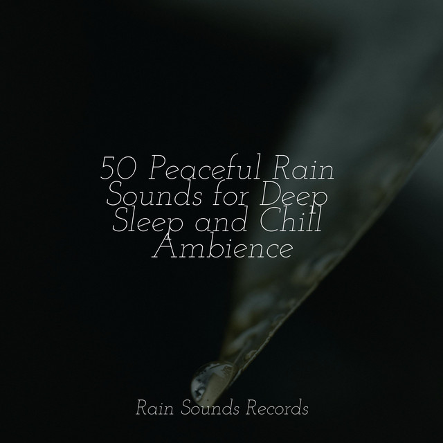 50 Peaceful Rain Sounds for Deep Sleep and Chill Ambience - Album by ...