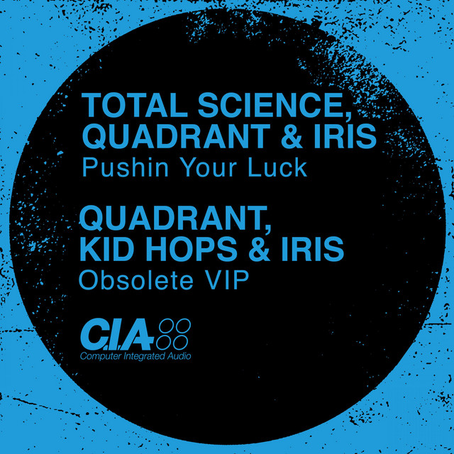 Pushin Your Luck album art
