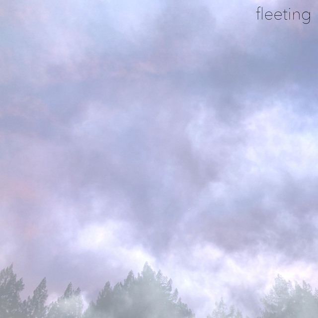 fleeting cover