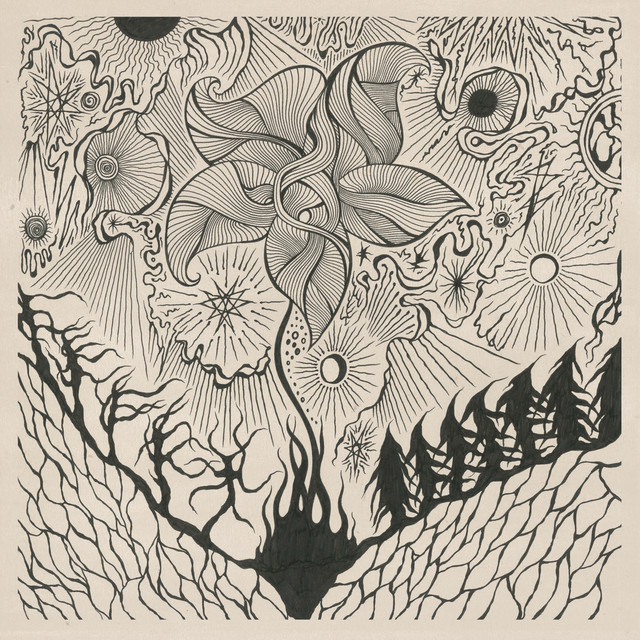 Nattfiolen cover art