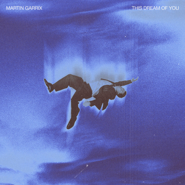 Pochette de This Dream of You