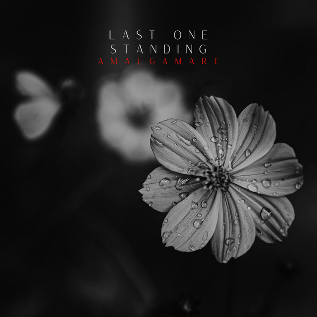 Last One Standing cover