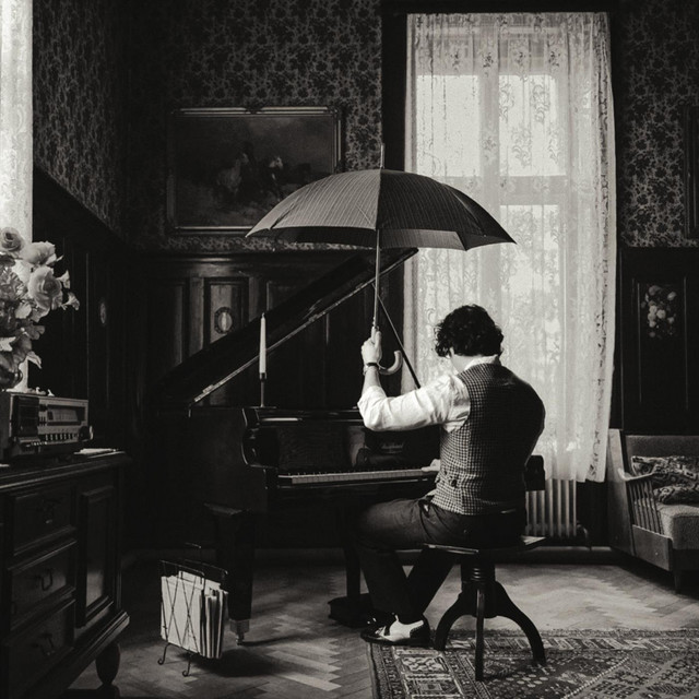 A Rainy Day In Vienna