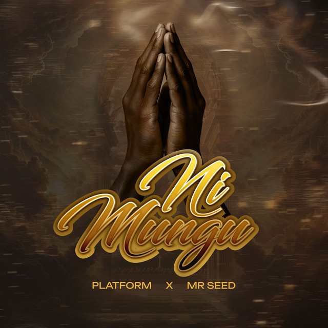 Ni Mungu (feat. Mr Seed)