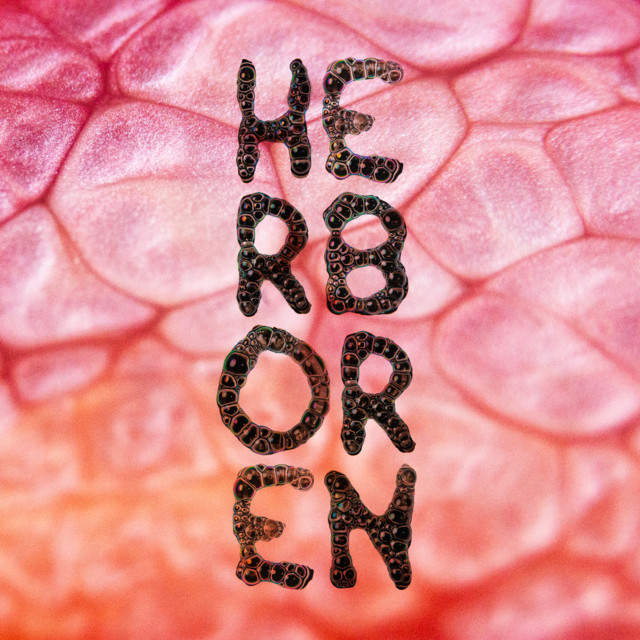 Herboren