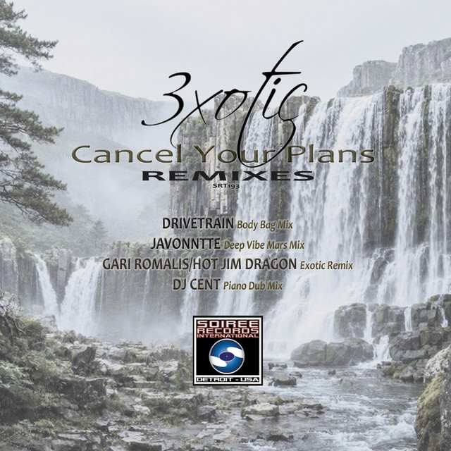 Cancel Your Plans (Remixes) cover
