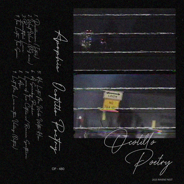 Ocotillo Poetry cover art