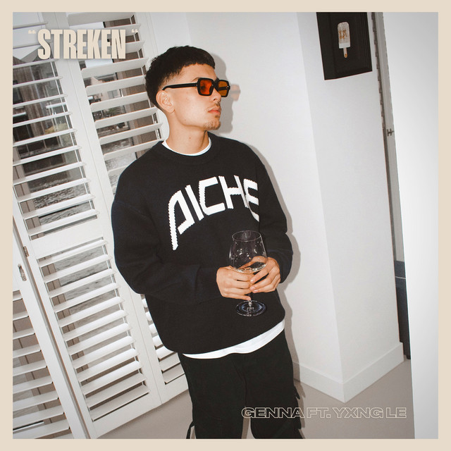 Streken cover art