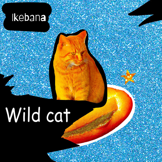 Wild Cat cover