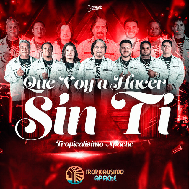 Que Voy A Hacer Sin Ti album image