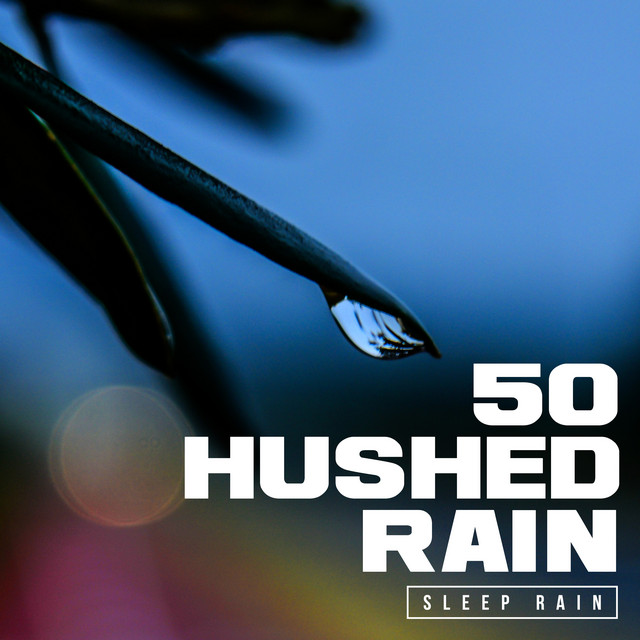 50 Hushed Rain - Album by Sleep Rain | Spotify