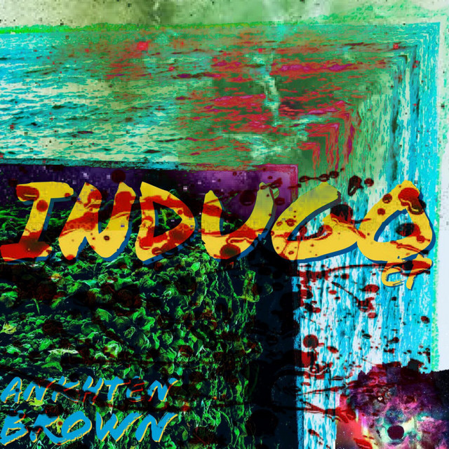 Indugo album image