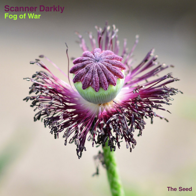 Fog of War cover art