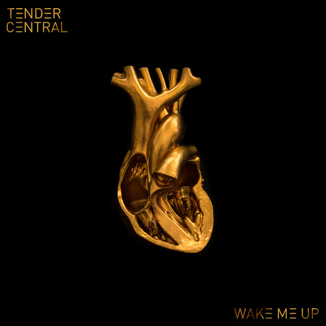 Wake Me Up cover