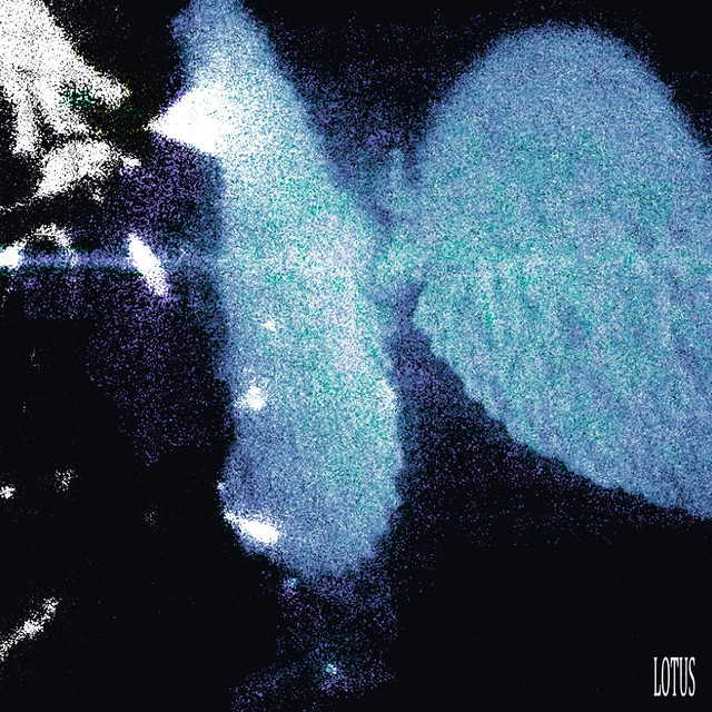 lotus - demo