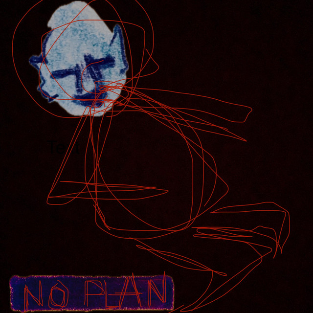 No Plan cover art