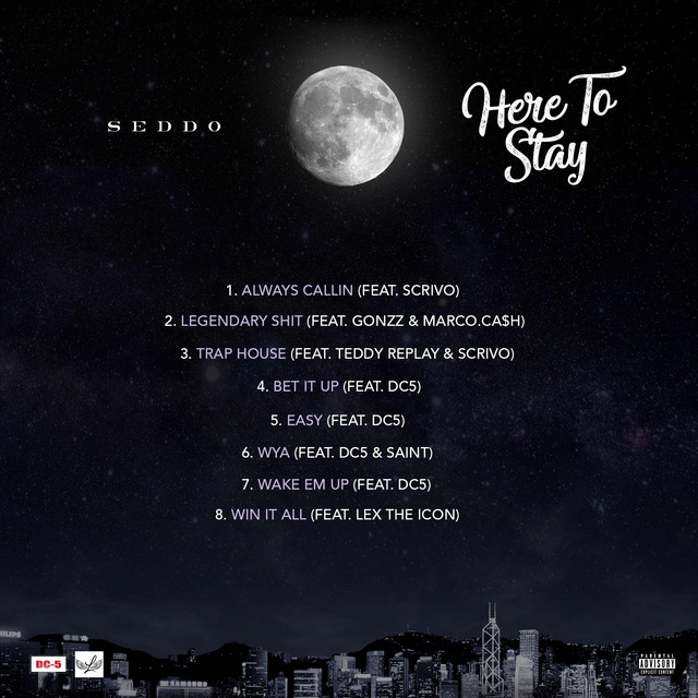 Here to Stay cover art