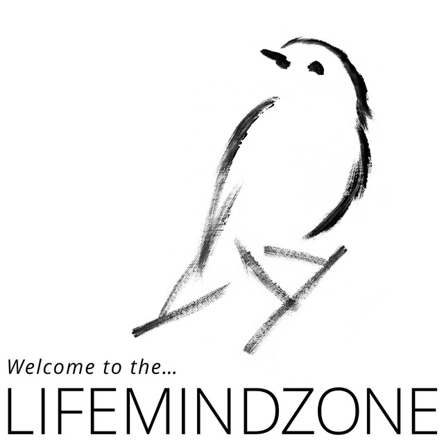 Welcome to the... LIFEMINDZONE cover