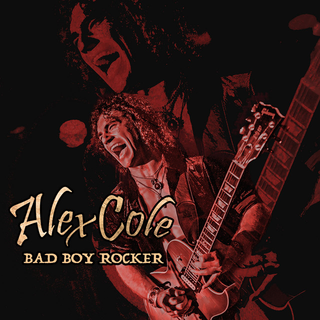 Bad Boy Rocker cover