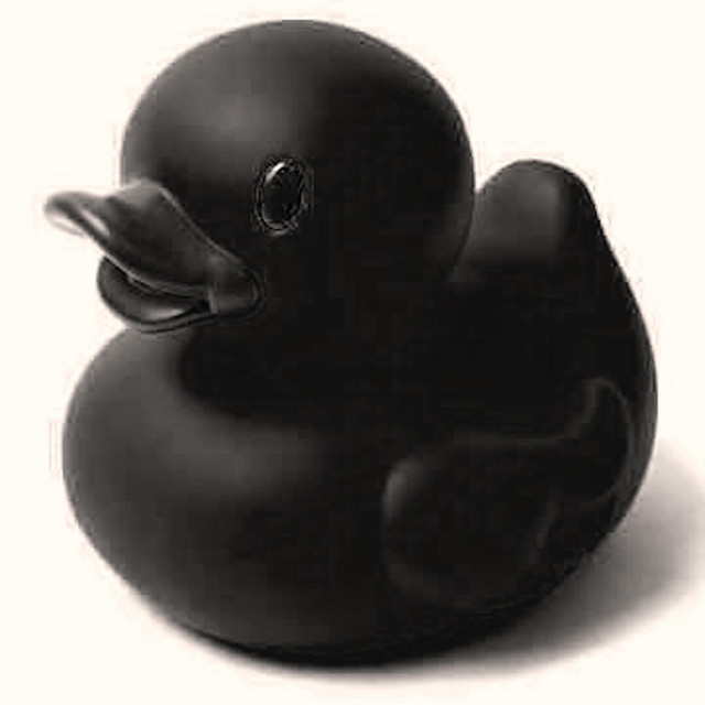 Lucky Ducky cover art