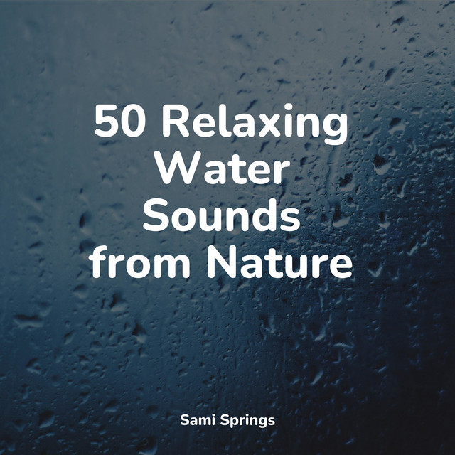 50 Relaxing Water Sounds from Nature - Album by Deep Sleep Meditation ...