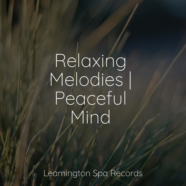 Relaxing Melodies | Peaceful Mind - Album by Oasis of Meditation | Spotify