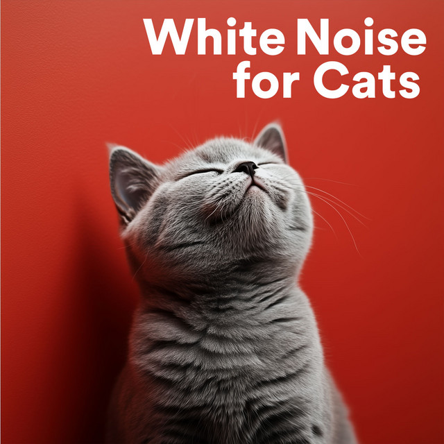 White Noise for Cats cover art