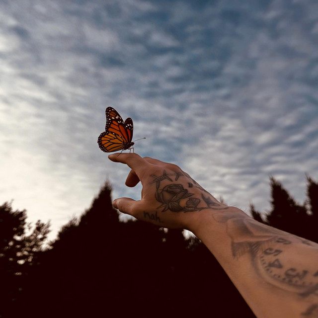 undefined album image