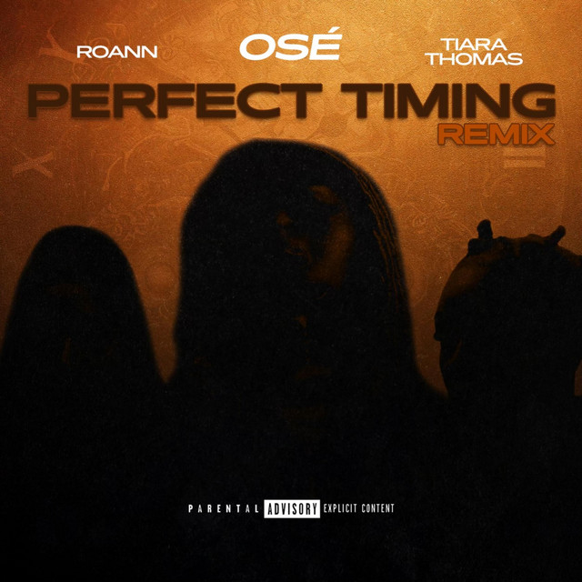 Perfect Timing [Remix]