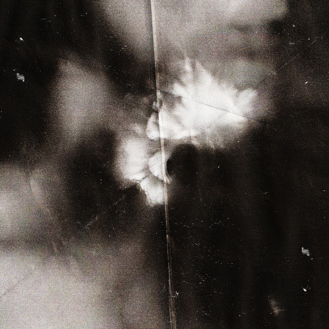 Holding Absence (Deluxe Edition) cover art